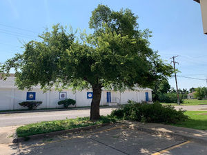 Meet your Posher, Yu chen